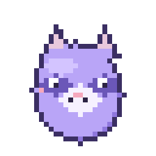 Raccoon